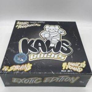 Kaws Rocks Exotic Edition