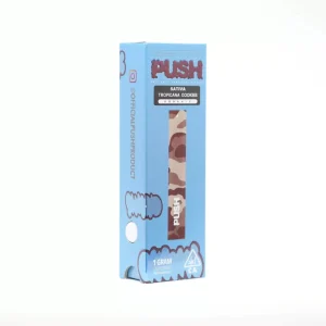 Push Disposable Vapes